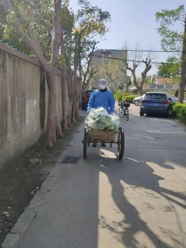 图为 周自豪老师参加社区志愿服务 图为 周自豪老师参加社区志愿服务